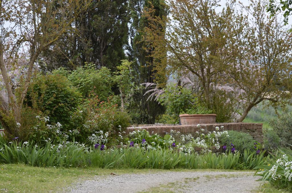 Agriturismo Poggio Ai Grilli 甘巴西 客房 照片